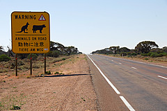 070226 Australia 2007 - Photo 0457