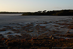 070226 Australia 2007 - Photo 0539