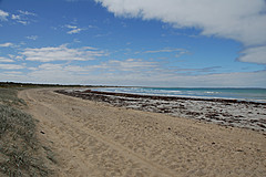070226 Australia 2007 - Photo 0570