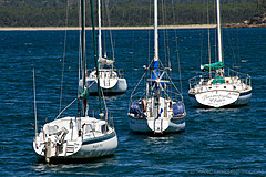 070226 Australia 2007 - Photo 1027