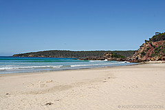 070226 Australia 2007 - Photo 1033