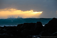 070226 Australia 2007 - Photo 1049