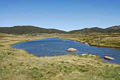 070226 Australia 2007 - Photo 1082