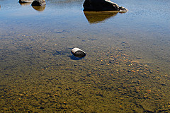070226 Australia 2007 - Photo 1084
