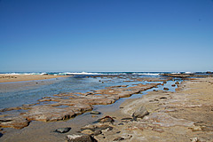 070226 Australia 2007 - Photo 1146