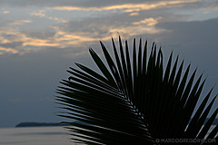 070626 Thailand 2007 - Photo 0200