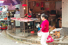 110526 China 2011 - Photo 0299