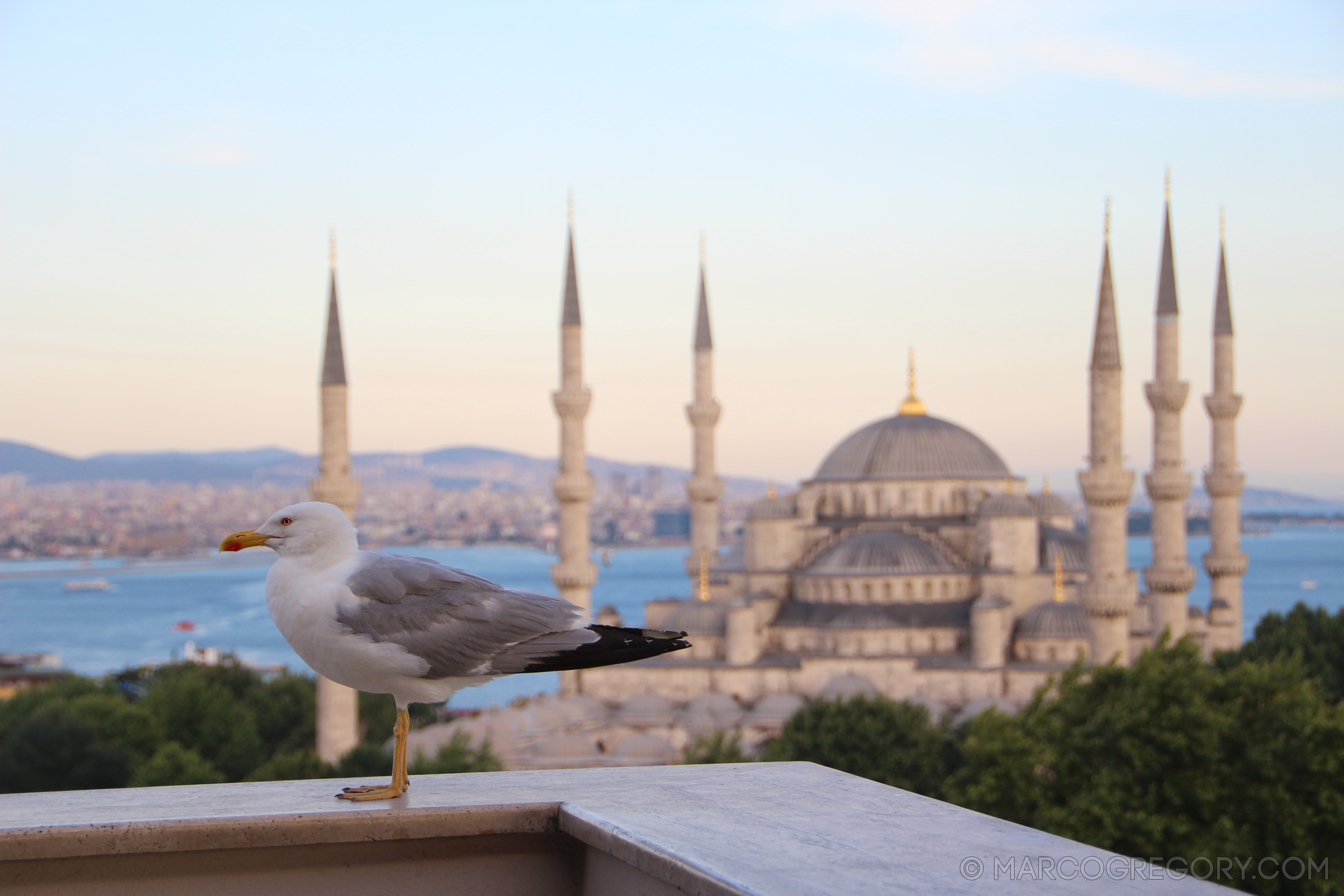 110722 Istanbul 2011 - Photo0054 of 160