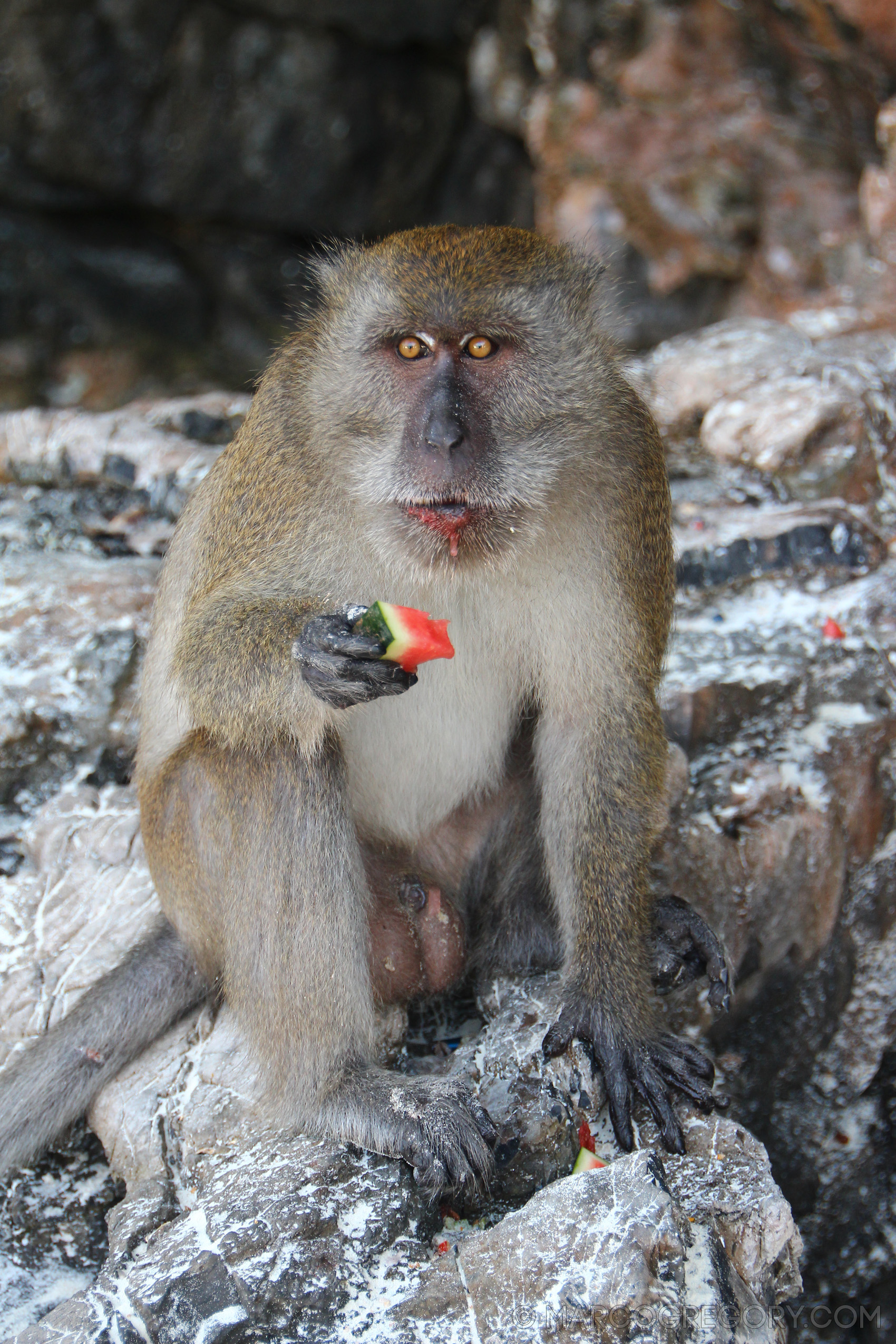 150117 Thailand 2015 - Photo0269 of 351