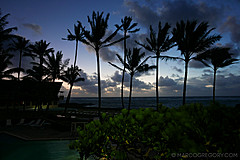 151006 Hawaii 2015 - Photo 0158