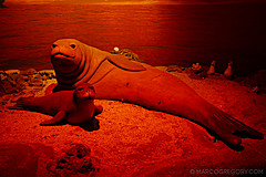 151006 Hawaii 2015 - Photo 0208