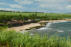 151006 Hawaii 2015 - Photo 0332