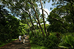 151006 Hawaii 2015 - Photo 0340