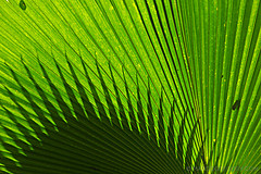 151006 Hawaii 2015 - Photo 0367