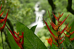 151006 Hawaii 2015 - Photo 0396