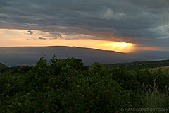 151006 Hawaii 2015 - Photo 0449