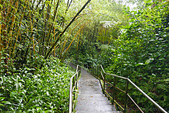 151006 Hawaii 2015 - Photo 0536
