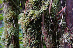 151006 Hawaii 2015 - Photo 0543