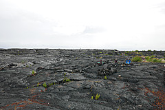 151006 Hawaii 2015 - Photo 0605