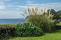 190916 Azores and Lisbon - Photo 0008