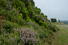190916 Azores and Lisbon - Photo 0044