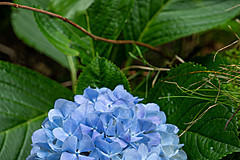 190916 Azores and Lisbon - Photo 0051