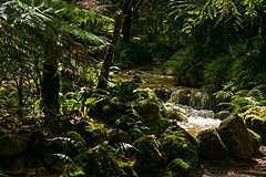 190916 Azores and Lisbon - Photo 0152
