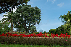 190916 Azores and Lisbon - Photo 0225