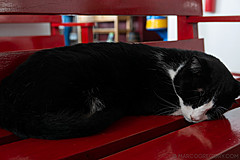 190916 Azores and Lisbon - Photo 0296